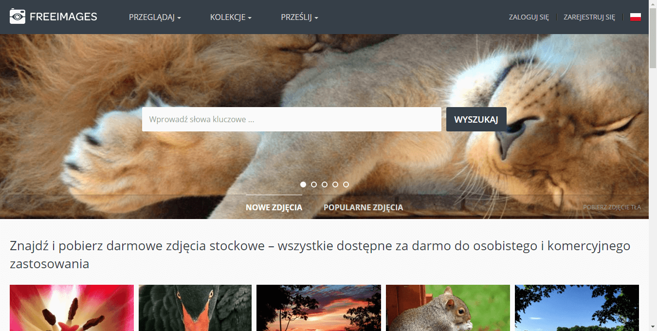 Serwis Free Images pozwala znaleźć darmowe obrazki