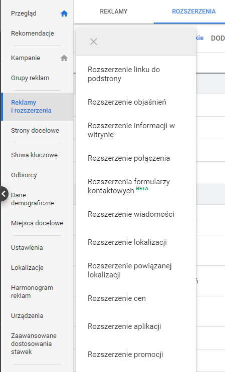 Możliwości rozszerzenia reklamy Google Ads